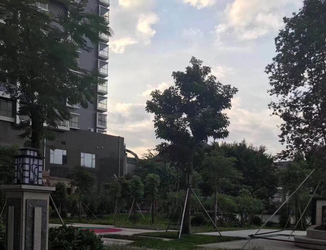 沙井3栋大型花园村委统建楼《德馨花园》自带商业，充足停车位