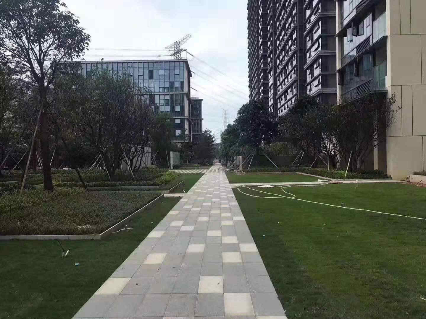 微信图片_20190818140343