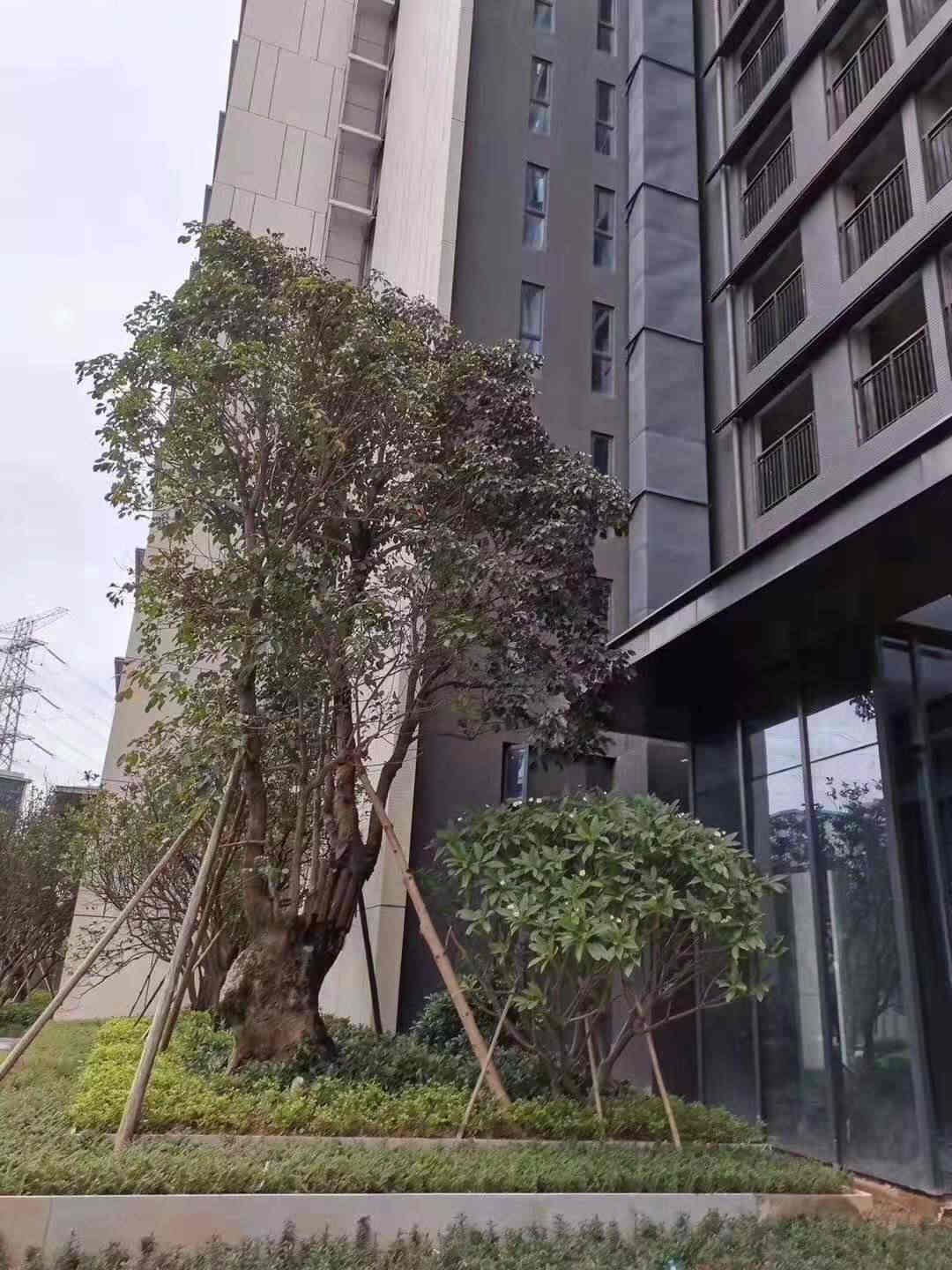 微信图片_201908181403424