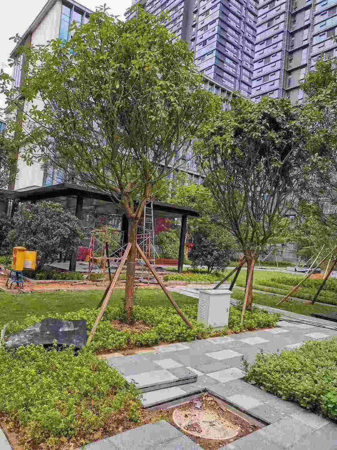 微信图片_201908181403431_副本