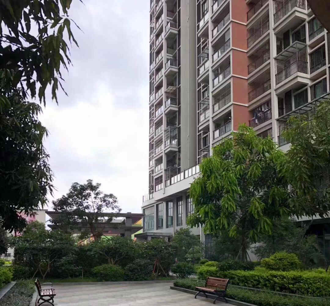 沙井6栋大型花园统建楼《中心国际》海岸城旁 带地下停车场和天燃气 