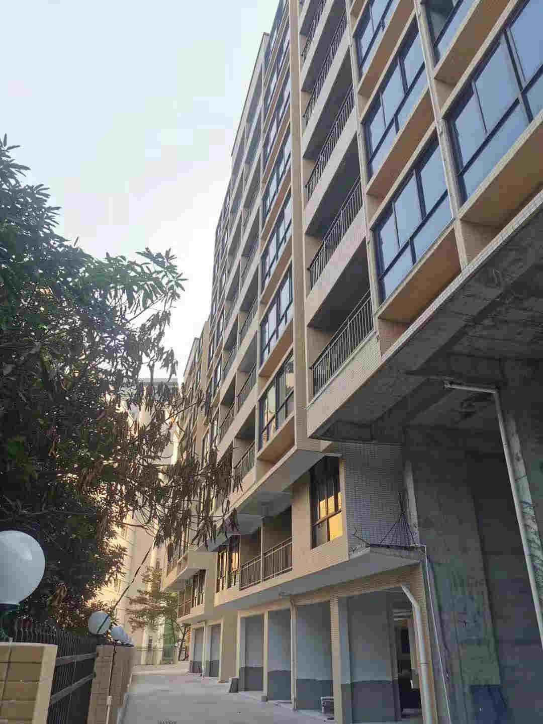 微信图片_20191113185656