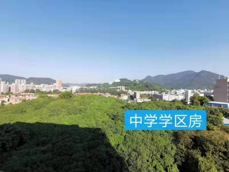 东莞樟木头统建楼《观景学府》单价2980元起 带天燃气 山景学区房  