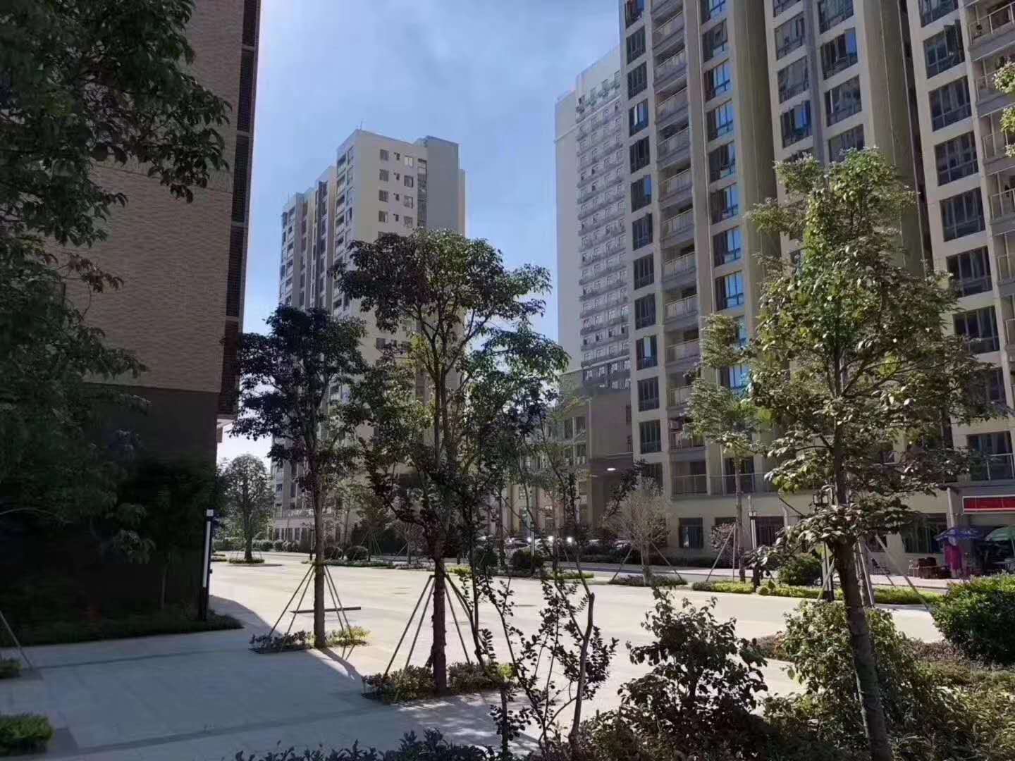 宝安松岗大型统建楼《国际一品》自带两层停车场 