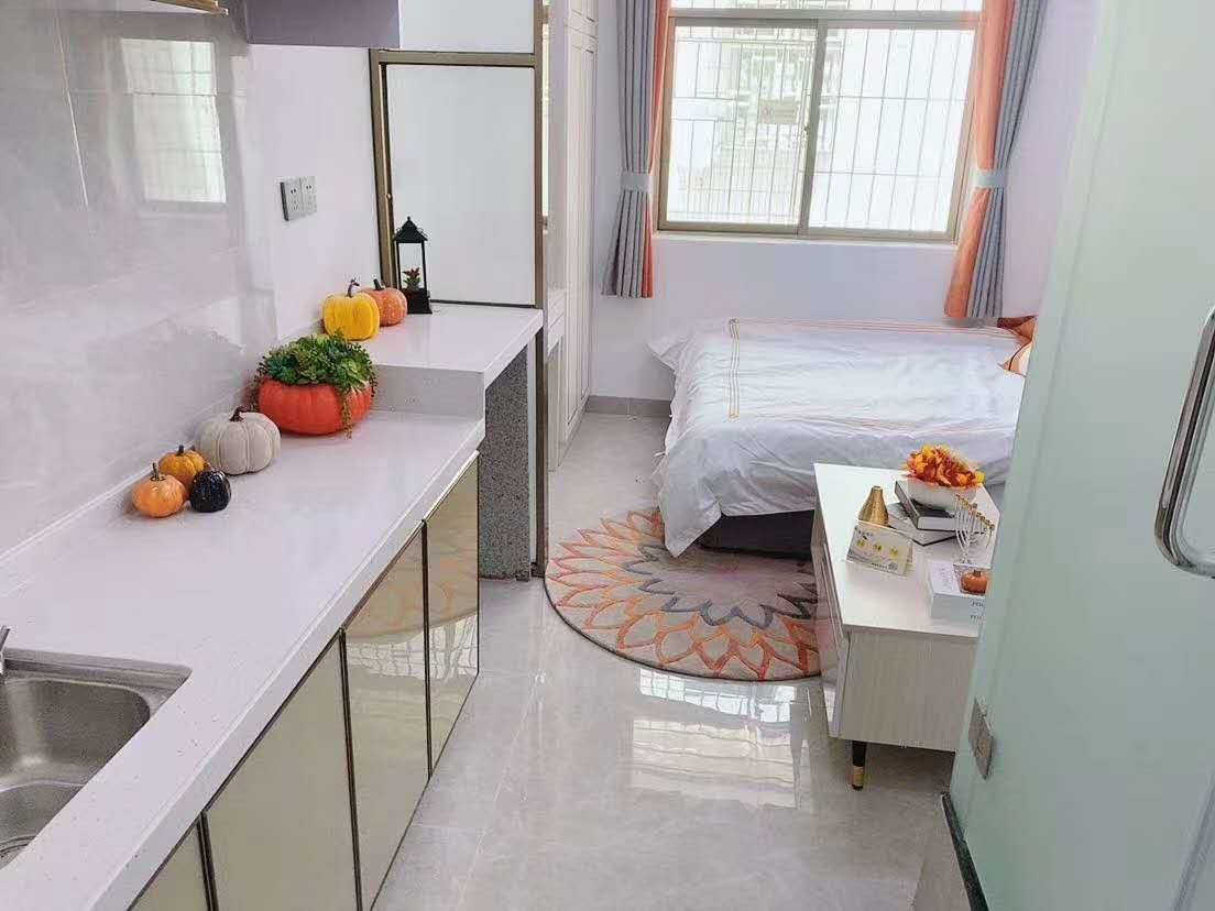 坂田10号线贝尔路站《十号公馆》精装修小产权房，总价33.8万起