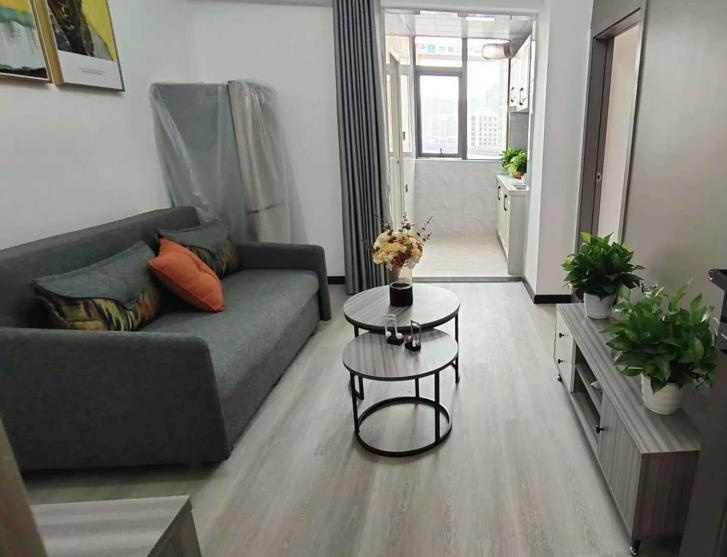 深圳民治《北站御城》原始户型小产权房 深圳北站零距离 租金3000元起