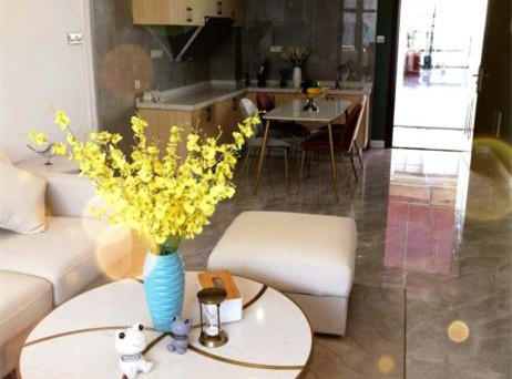 东莞茶山九栋大型花园房《松湖星寓》小产权房，首付5万起，分期8年