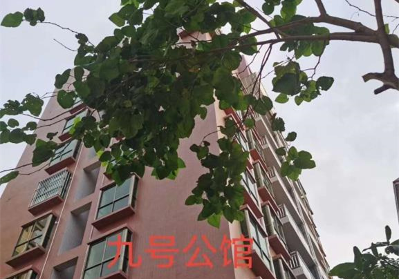 东莞虎门北栅新楼盘小产权房《九号公馆》虎门中心区域，毛坯户型，可以分期3年