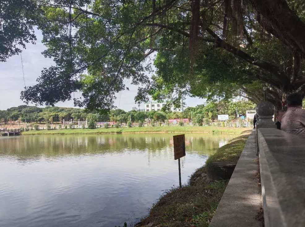 大岭山新塘小产权房新楼盘《星塘名居》大三房户型，总价39.8万起，分期3年