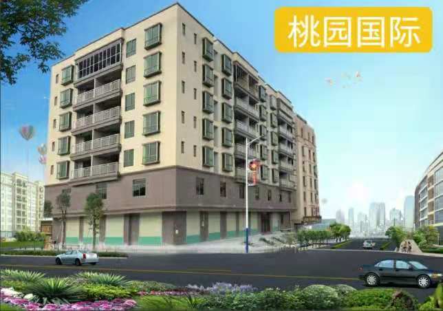 横沥村头2栋统建楼《桃园国际》江景豪宅带地下停车场 三房总价27万起