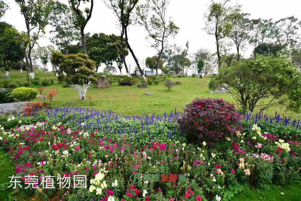 微信图片_20201105100407