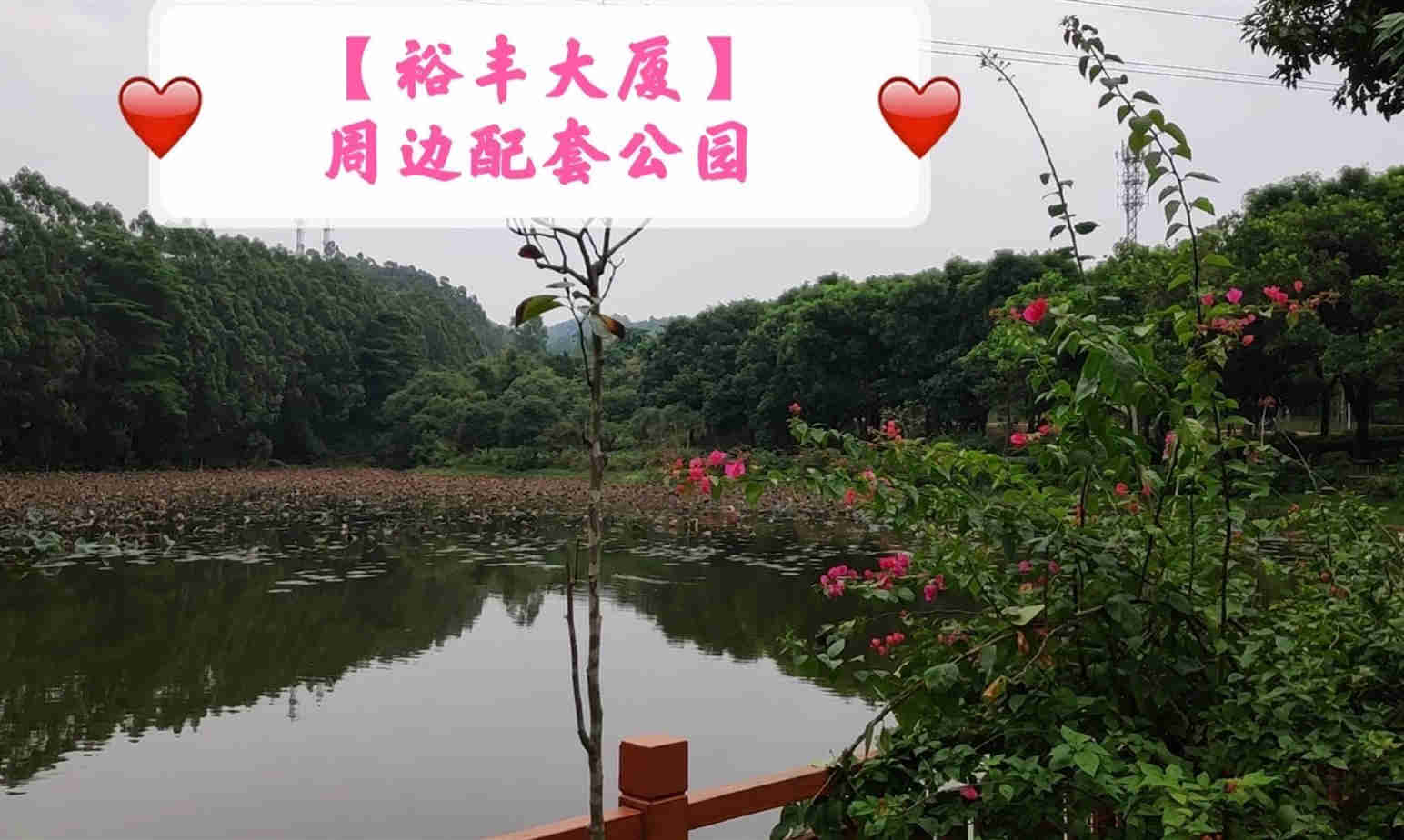 27d23769643e19cd1107bfd7c45bfdb