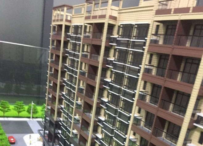 东莞凤岗小产权房，塘沥凤凰围《金凤豪庭三期》三栋大型统建楼出售，带停车场