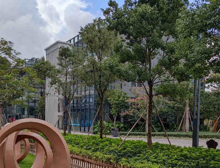 东莞凤岗金凤凰《金凤智谷》集体大红本统建楼 花园小区 自带大型停车场