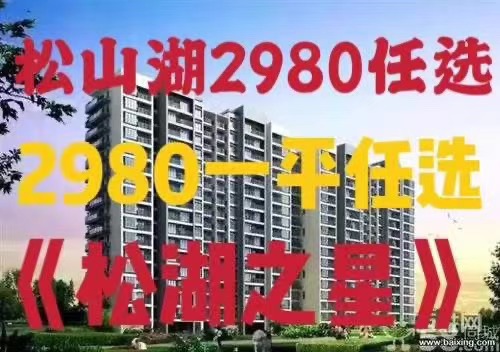 东坑2栋大型统建楼《松湖之星》自带停车场，单价2980元任选！