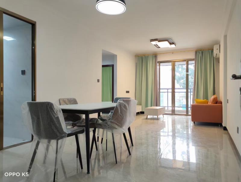 东莞厚街《幸福公馆》寮厦地铁口物业，万科广场500米，精装拎包入住