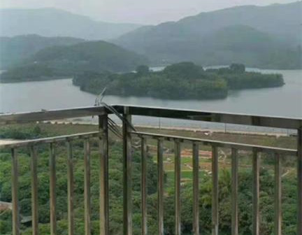 东莞塘厦大坪统建楼《公园名居二期》一线湖景房 车位1:1 R4号塘厦西站地铁口200米