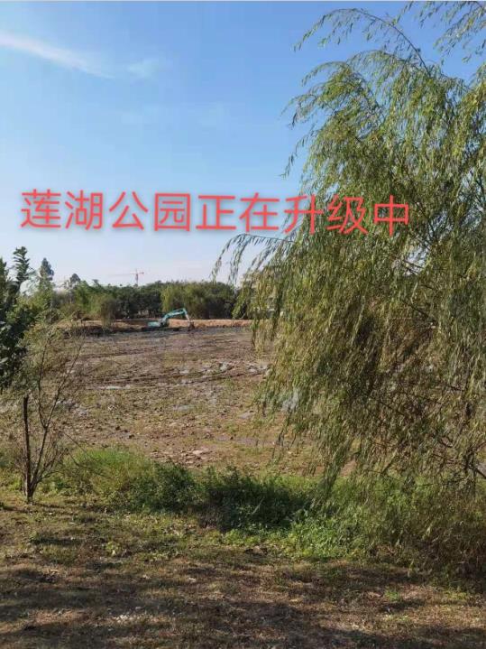 微信截图_20210104102953