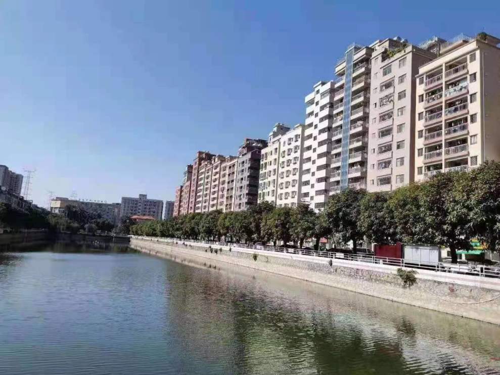东莞长安乌沙统建楼《江贝华府》湖景洋房  封闭式管理 自带停车位