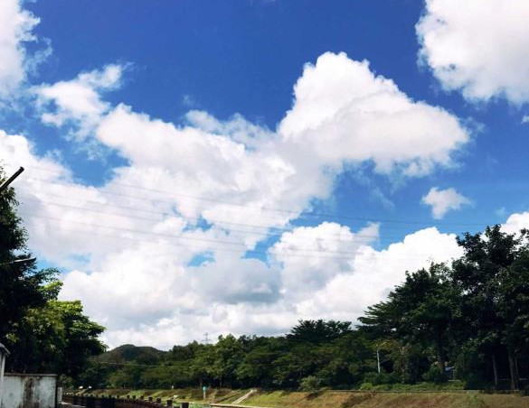 罗湖大望村小产权房楼盘《望桐豪苑》真正的学位房，总价30万起，分期5年