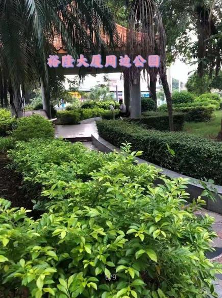 微信截图_20210406101252
