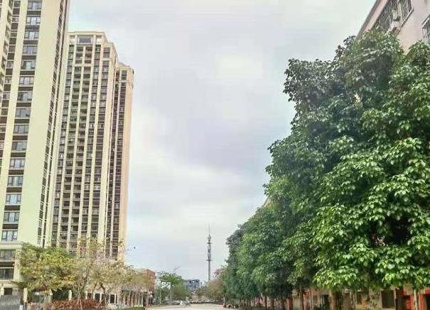 东莞塘厦林村小产权房新盘《高铁新城》距离塘厦高铁站不远，到深圳20分钟左右，可分期3年