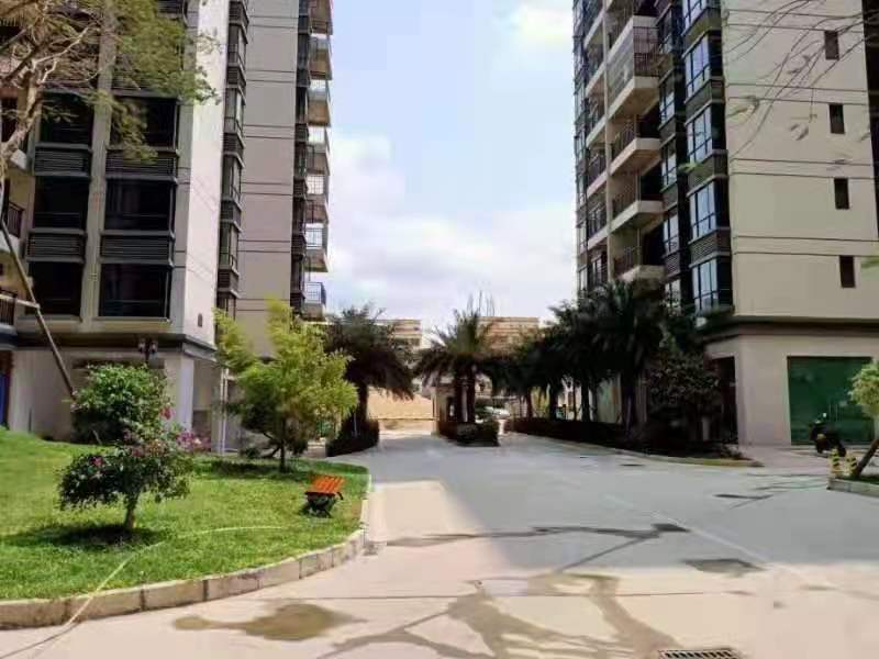 惠东白花八栋大型花园统建楼《百丽名都》毛坯现房出售，绿化率25%，自带停车场