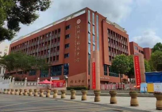 宝安福永中学旁小产权房楼盘《福安居》原始户型，通天燃气，停车方便！