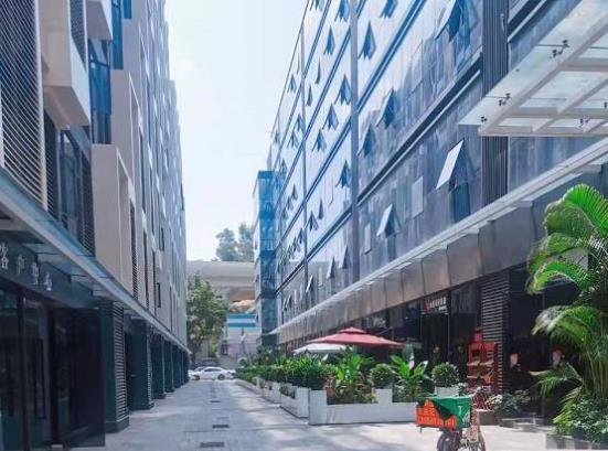 龙岗布吉上水径地铁口《丽湖公馆》五栋600套花园小区统建楼，总价45.8万起