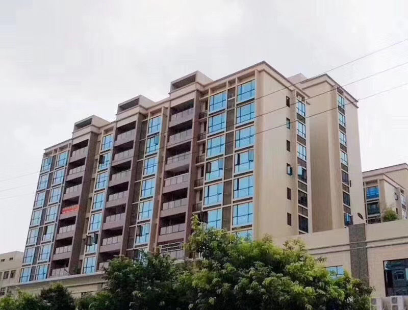 东莞横沥水边4栋大型村委统建楼《东部铭城》通天燃气和停车场，有村委盖章！