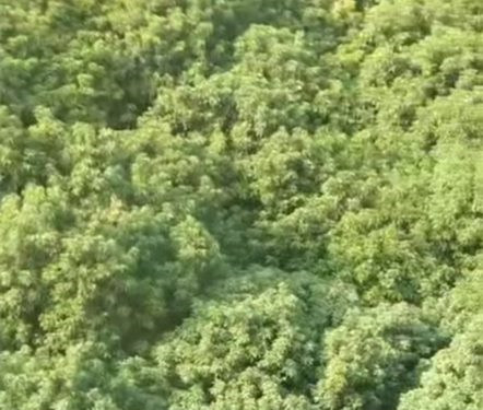 东莞企石统建楼《荔园公馆》大飘窗 三房总价26.8万  不分楼层大小任君挑选