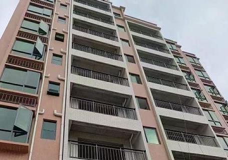 东莞虎门高铁站的小产权房《高铁名城》旁边就是商品房，粤港澳大湾区资产！