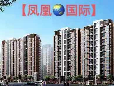 东莞凤岗金凤凰四栋大型统建楼出售《凤凰国际》带天燃气和地下停车场 首付8.8万起