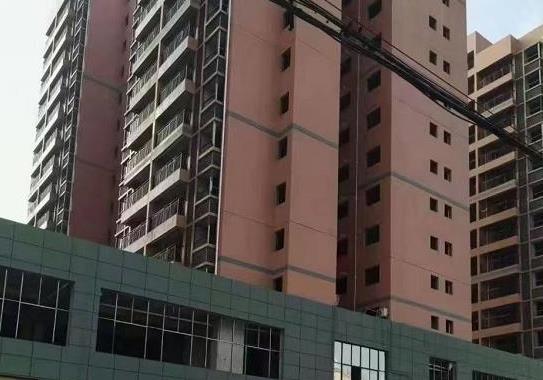 东莞大朗犀牛陂6栋大型花园房《柏林天境》带地下停车场和天燃气管道 