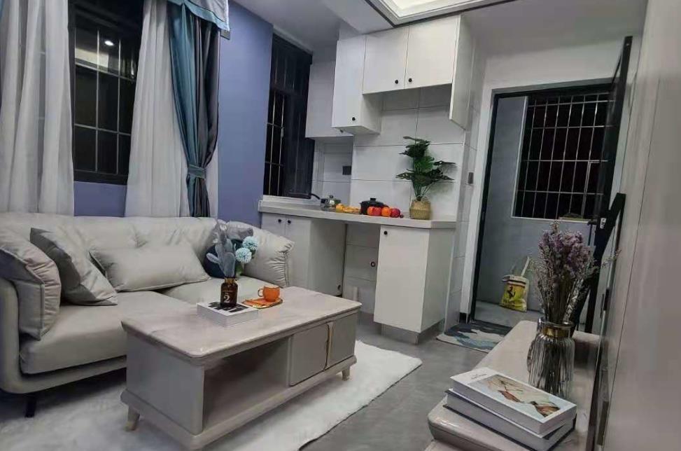 公明最新开盘小产权房 上辇村《金合苑》两房特价55万起，红花山地铁口300米