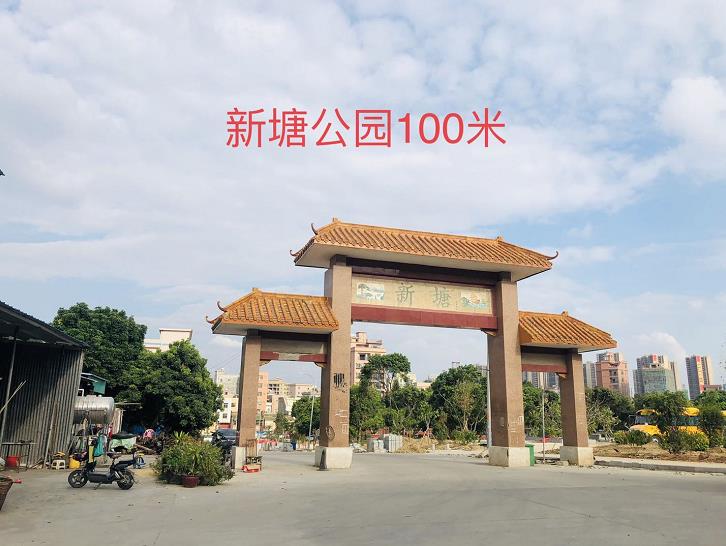 东莞大岭山新塘《星耀公馆》小产权房新楼盘，自带一楼停车场