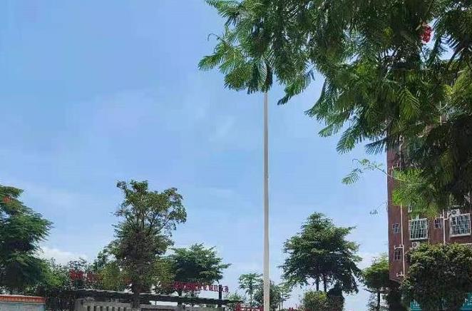 大岭山梅林小产权房《龙凤居》首付3成，分期8年 均价3680元