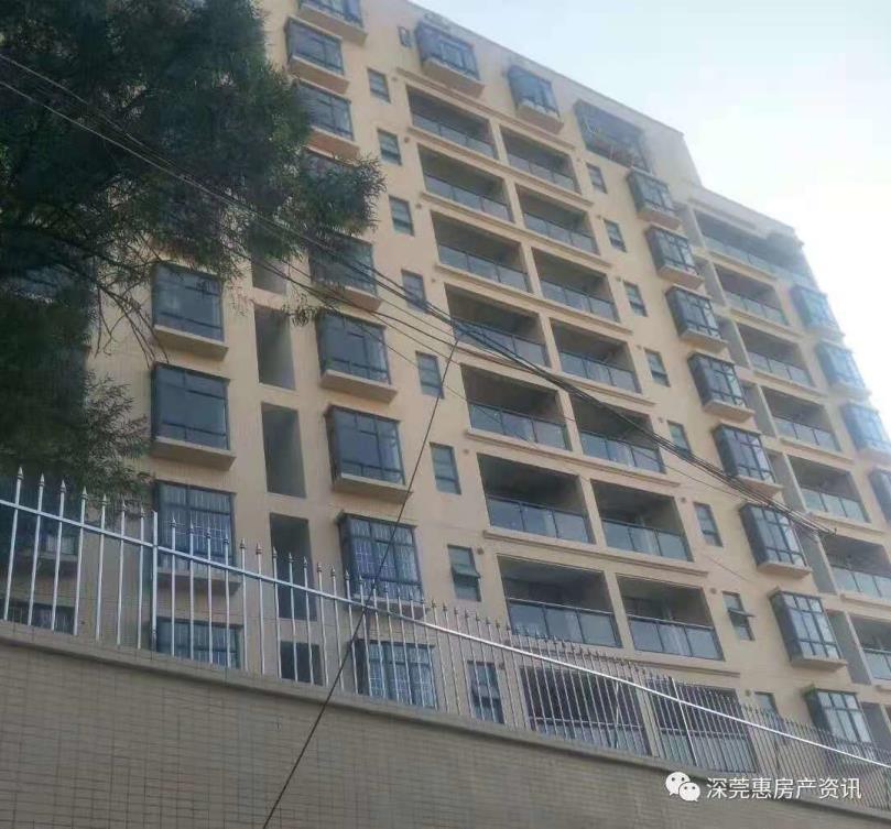 东莞大朗洋乌村3栋统建楼《松湖星城》小产权房，户型方正，环境舒适