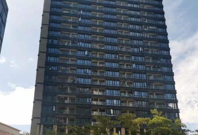 布吉上李朗地铁口零距离《康利名城》花园房，精装现房出售，带天燃气和阳台 总价106万起