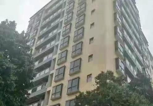 大岭山地铁口带停车场的小产权房《裕家铭苑》2大栋规模 无条件分期3年