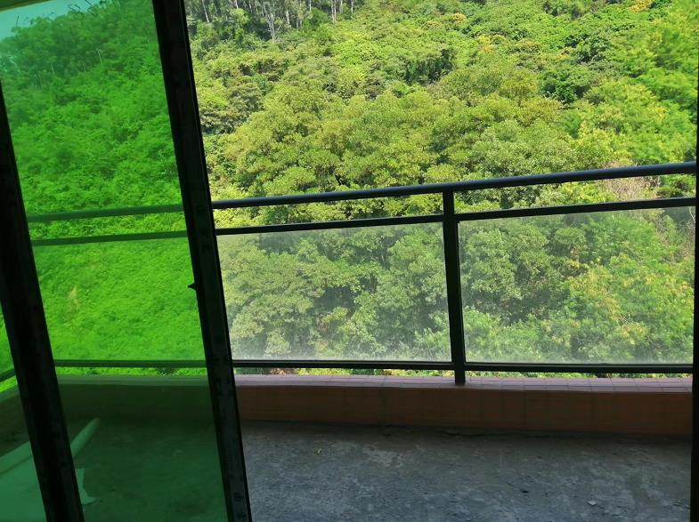 互联网欢乐指南