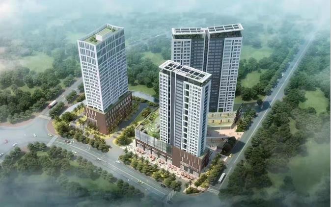 我的新李只有你