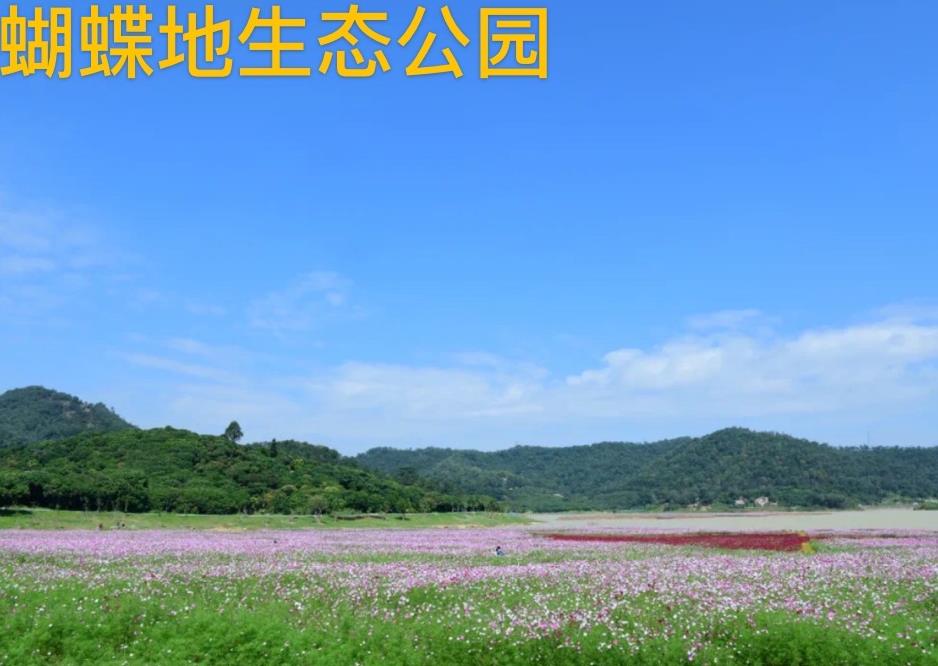 微信截图_20211104105311