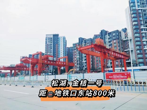 大岭山边岭小产权房《松湖金桔一号》正规报建手续，大岭山东地铁口物业，带地面停车场