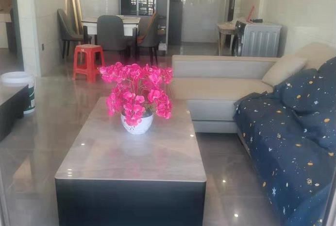 东莞石排下沙村小产权房《中心花园》三栋300套大型楼盘，总价22.8万起