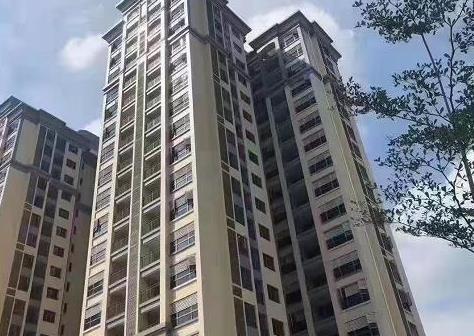 东莞凤岗体育馆旁小产权房《凤岗花园》5栋花园小区统建楼 均价9800元起 带燃气