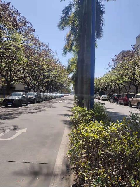 微信截图_20220310084510