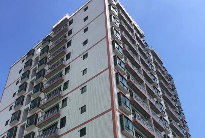 塘厦蛟乙塘新楼盘（邻深新城）2栋大型小产权房，带大型停车场 分期8年