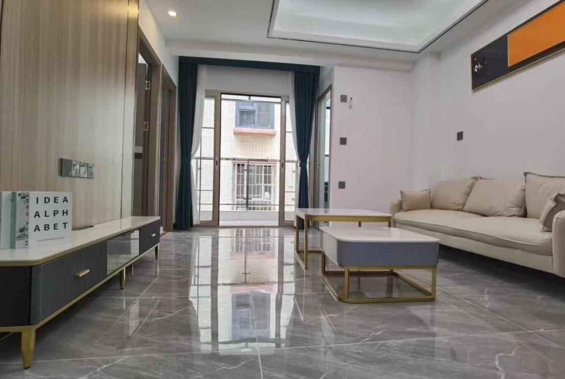 大浪谭罗小产权房（东站壹号）6号线地铁口物业，精装修1房到3房户型