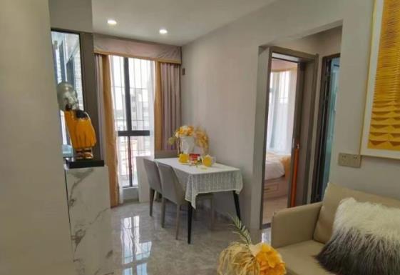 坂田五和地铁口最新开盘（五和家园）小产权房楼盘，总价45万起